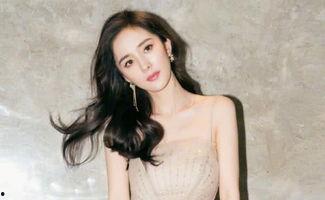 被黑的明星网红,明星网红遭遇恶意攻击背后的真相