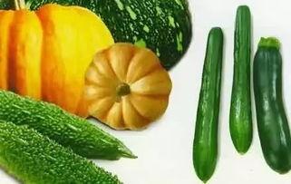 吃瓜今日吃瓜热门吃瓜,吃瓜群众聚焦最新吃瓜事件