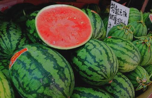 今日圆瓜价格,市场行情一览