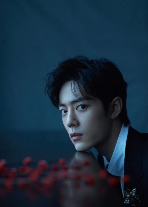 肖战同学吃黑瓜图片大全,美食与颜值的双重盛宴