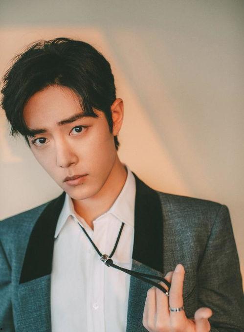 肖战同学吃黑瓜图片大全,美食与颜值的双重盛宴