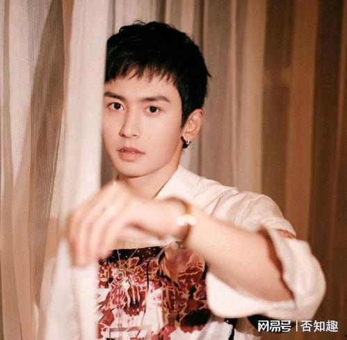 明星网红歌评价,网红明星歌曲热度盘点与评价解析