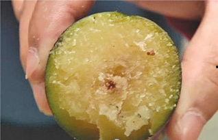 吃方瓜会出现黑便吗