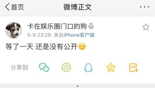 吃瓜爆料百科,揭秘娱乐圈幕后真相