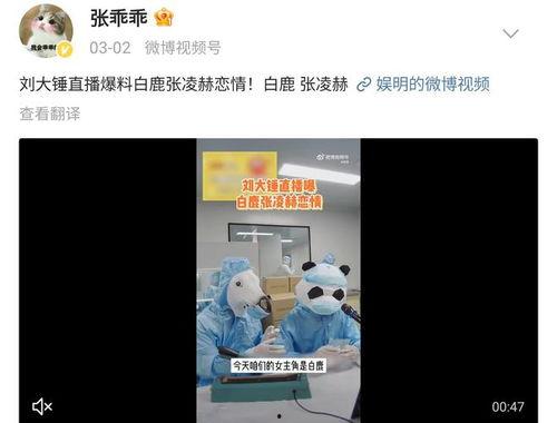 吃瓜爆料张凌赫,吃瓜爆料背后的真相与魅力